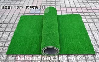 Chine Les verts portatifs fournisseur