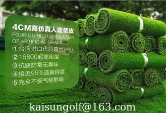 Chine Gazon artificiel pour le golf, gazon vert, faux gazon fournisseur