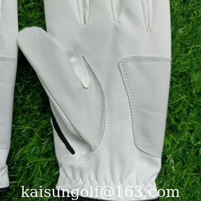 gants de golf de gant d'unité centrale de gant de peau de mouton de gant d'unité centrale de gant de cabretta du gant d'hommes de gant de golf fournisseur