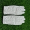 gant de tissu de microfiber de gant de peau de mouton de gant d'unité centrale de gant de cabretta du gant d'hommes de gant de golf fournisseur