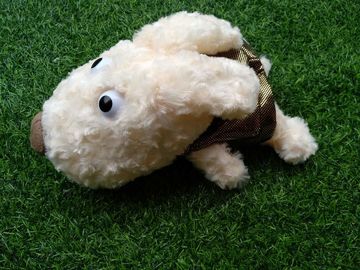 Couvre-chef de golf, couvre-chef de chien, couvre-chef d' animal, couvre-chef en peluche, couvre-chef de conducteur fournisseur