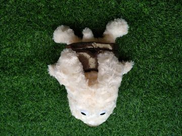 Couvre-chef de golf, couvre-chef de chien, couvre-chef d' animal, couvre-chef en peluche, couvre-chef de conducteur fournisseur